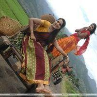 Vettai Movie New Stills | Picture 126288